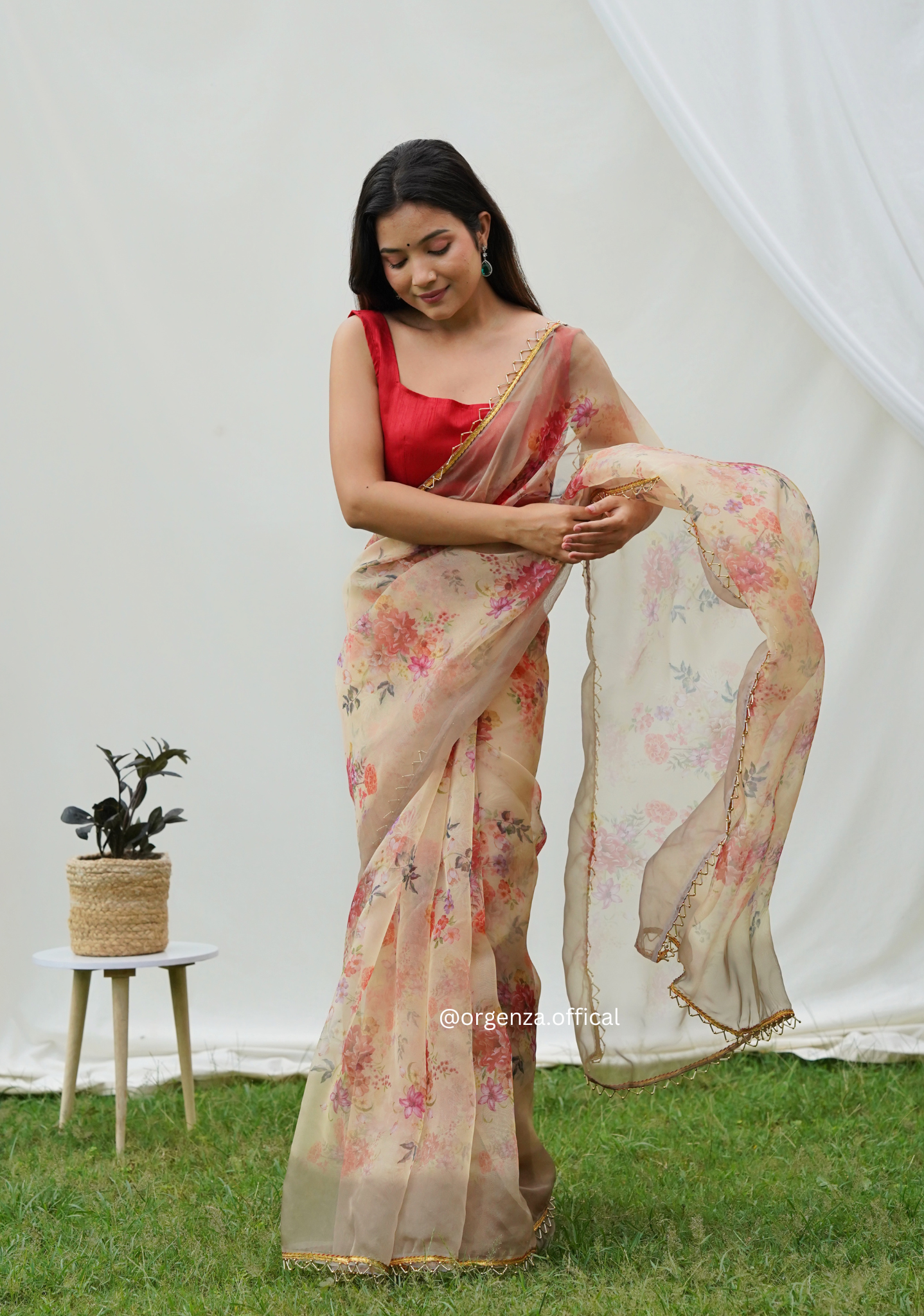 Pure Organza Saree With Heavy Lace Border - Orgenza Store