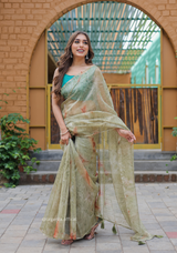 Organza Furr Saree With Sequence Lining