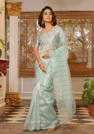 Sky Blue Organza Saree With Weaved Work - Orgenza Store - digisoch