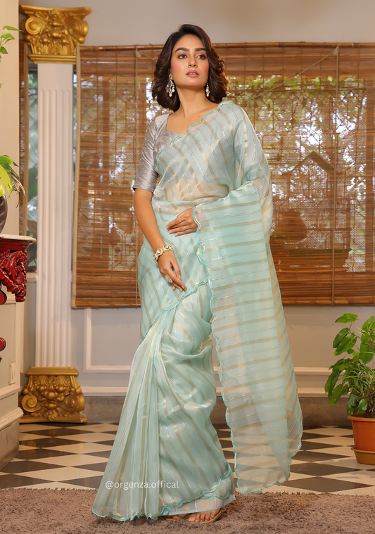 Sky Blue Organza Saree With Weaved Work - Orgenza Store