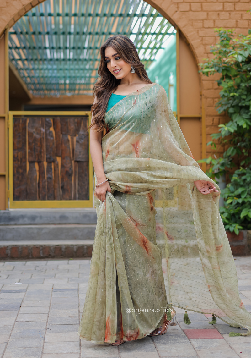 Organza Furr Saree With Sequence Lining