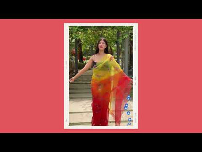 Soft Organza Multi Colour With Readymade Blouse
