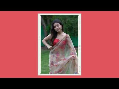 Pure Organza Saree With Heavy Lace Border