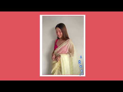 Light Yellow Lining Organza Saree