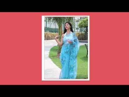 Dark Sky Organza Silk Saree