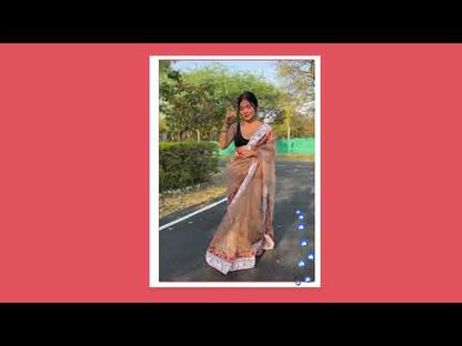 Brown Color Organza Saree With Chikankari Work