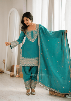 Sea Green NC Vichitra Silk Farshi Salwar Suit Set - Orgenza Store - digisoch