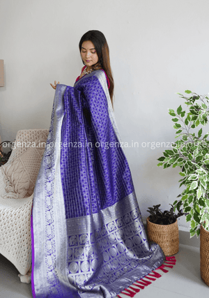 Soft Organza Silk With Embroidery Work - Orgenza Store