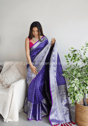 Soft Organza Silk With Embroidery Work - Orgenza Store