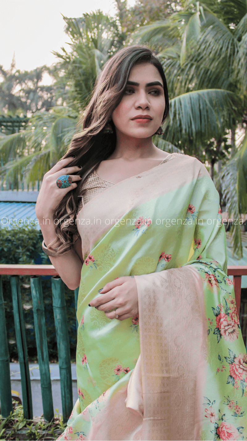Pure Banarashi Printed saree With Zari Big Border - Orgenza Store