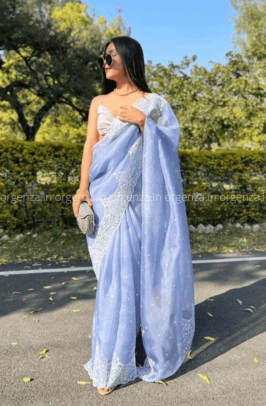 Lilac Blue Chikanar Work Saree With Blouse - Orgenza Store