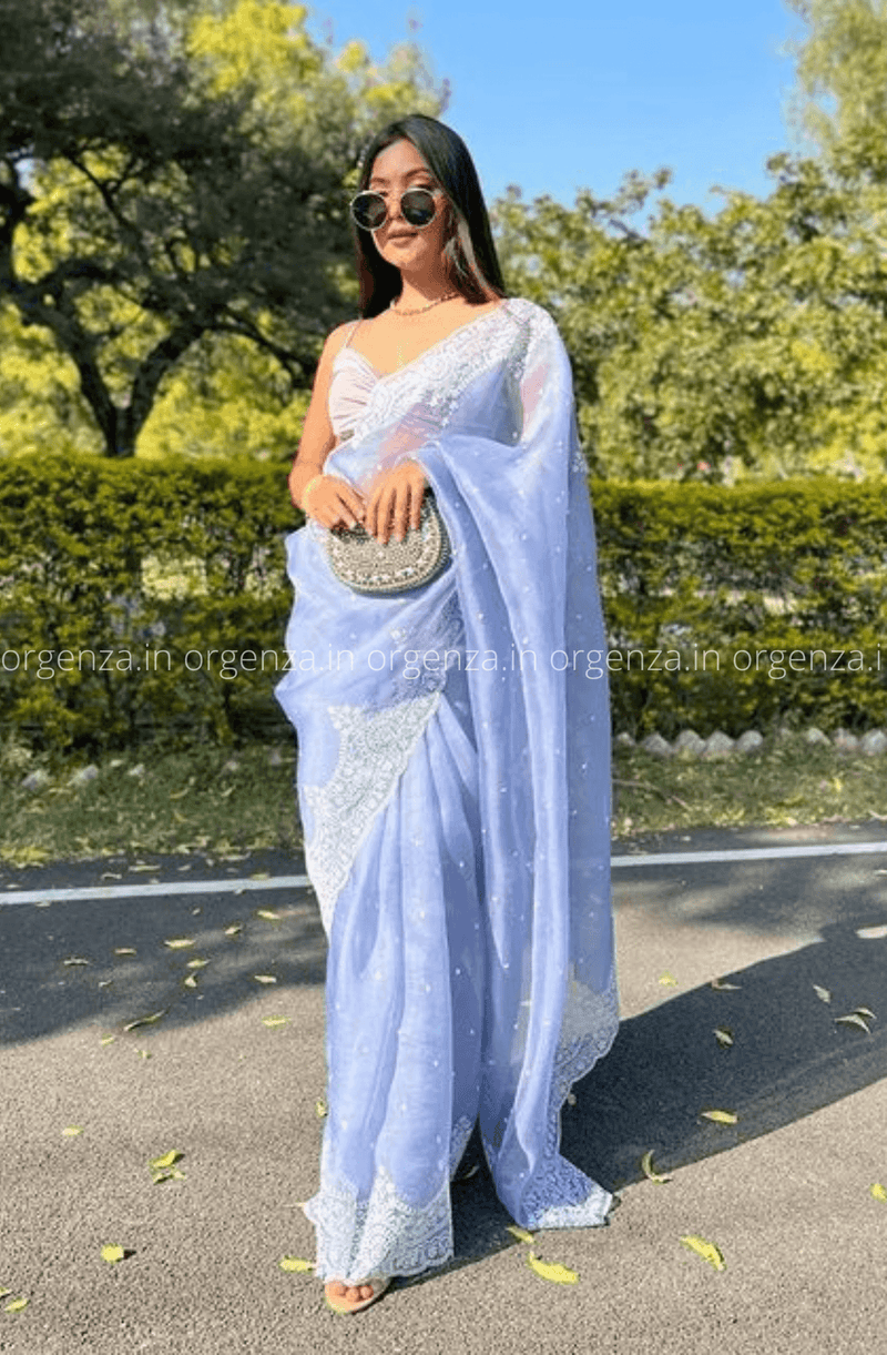 Lilac Blue Chikanar Work Saree With Blouse - Orgenza Store