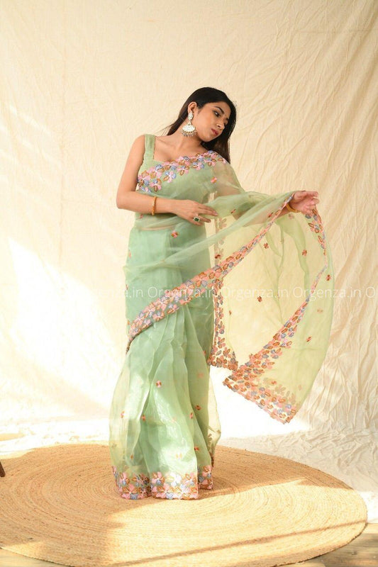 Best Pista Color Soft Organza With Thread Work - Orgenza Store
