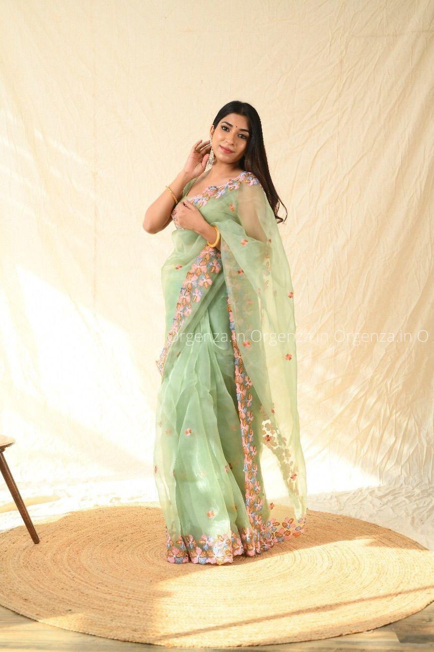 Best Pista Color Soft Organza With Thread Work - Orgenza Store - digisoch