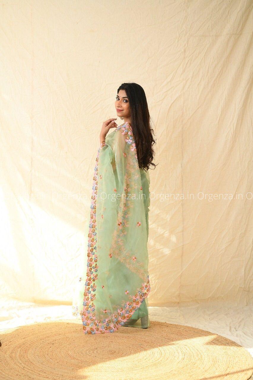 Best Pista Color Soft Organza With Thread Work - Orgenza Store