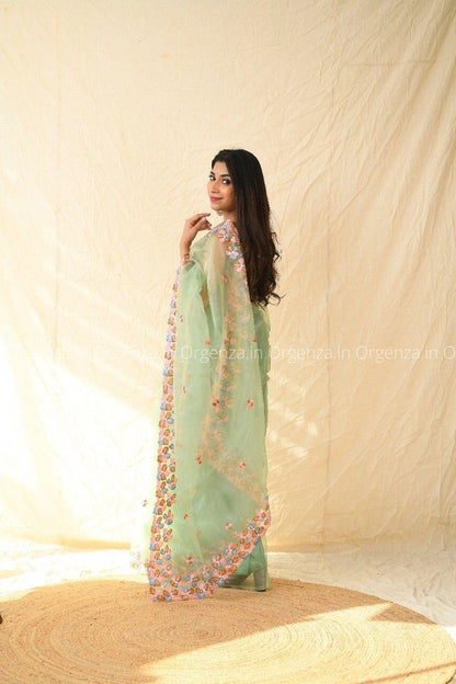 Best Pista Color Soft Organza With Thread Work - Orgenza Store