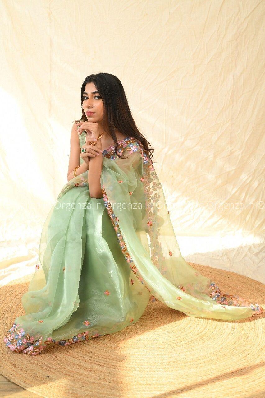 Best Pista Color Soft Organza With Thread Work - Orgenza Store