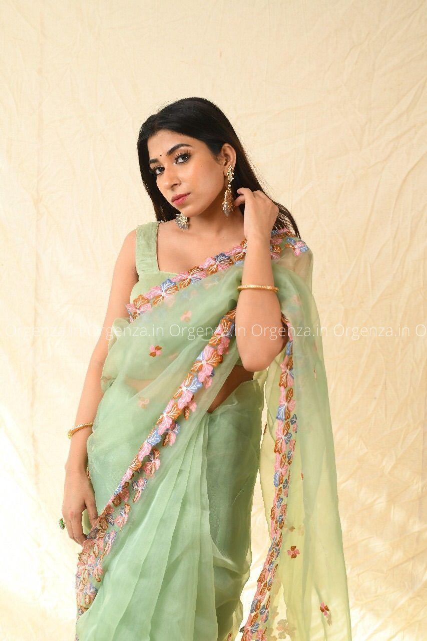 Best Pista Color Soft Organza With Thread Work - Orgenza Store - digisoch