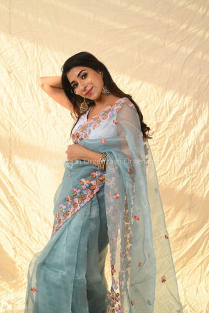 Multi Sky Color Organza Silk Saree - Orgenza Store - digisoch