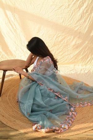Multi Sky Color Organza Silk Saree - Orgenza Store - digisoch