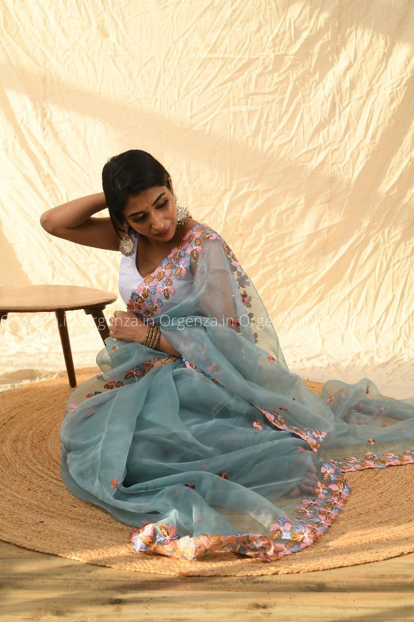 Multi Sky Color Organza Silk Saree - Orgenza Store - digisoch