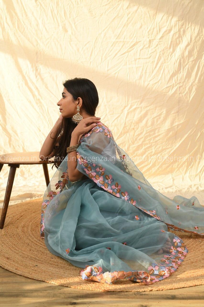 Multi Sky Color Organza Silk Saree - Orgenza Store - digisoch