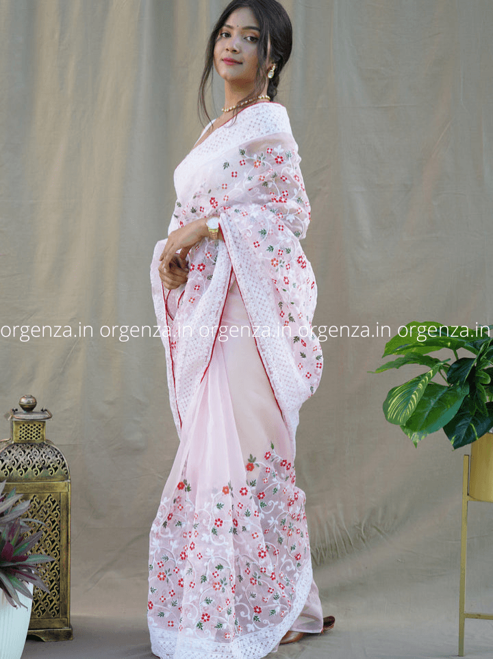 Organza Saree With Lakhanvi Chikankari Work - Orgenza Store - digisoch