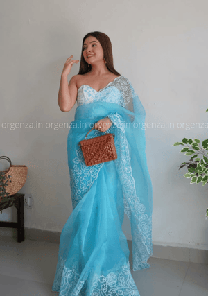 Sky Colour Chikankari Work Saree With C Pallu Cutwork - Orgenza Store