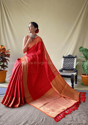 Red Bandhej Patola Silk Saree - Orgenza Store - digisoch