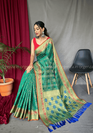 Green Bandhej Patola Silk Saree - Orgenza Store - digisoch
