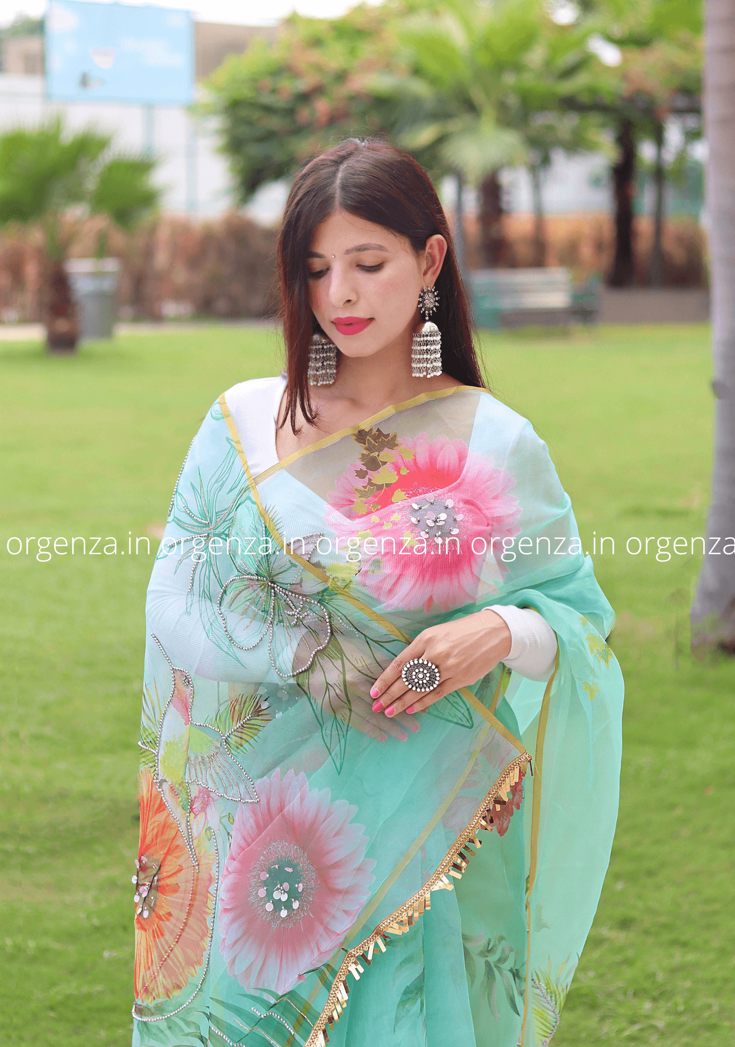 Multi Colour Organza Saree With Moti Work - Orgenza Store - digisoch