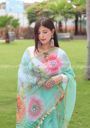 Multi Colour Organza Saree With Moti Work - Orgenza Store - digisoch