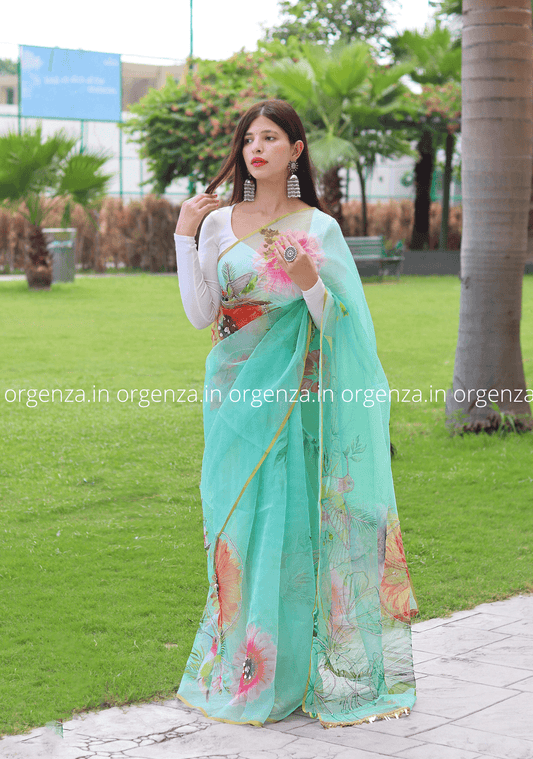 Multi Colour Organza Saree With Moti Work - Orgenza Store