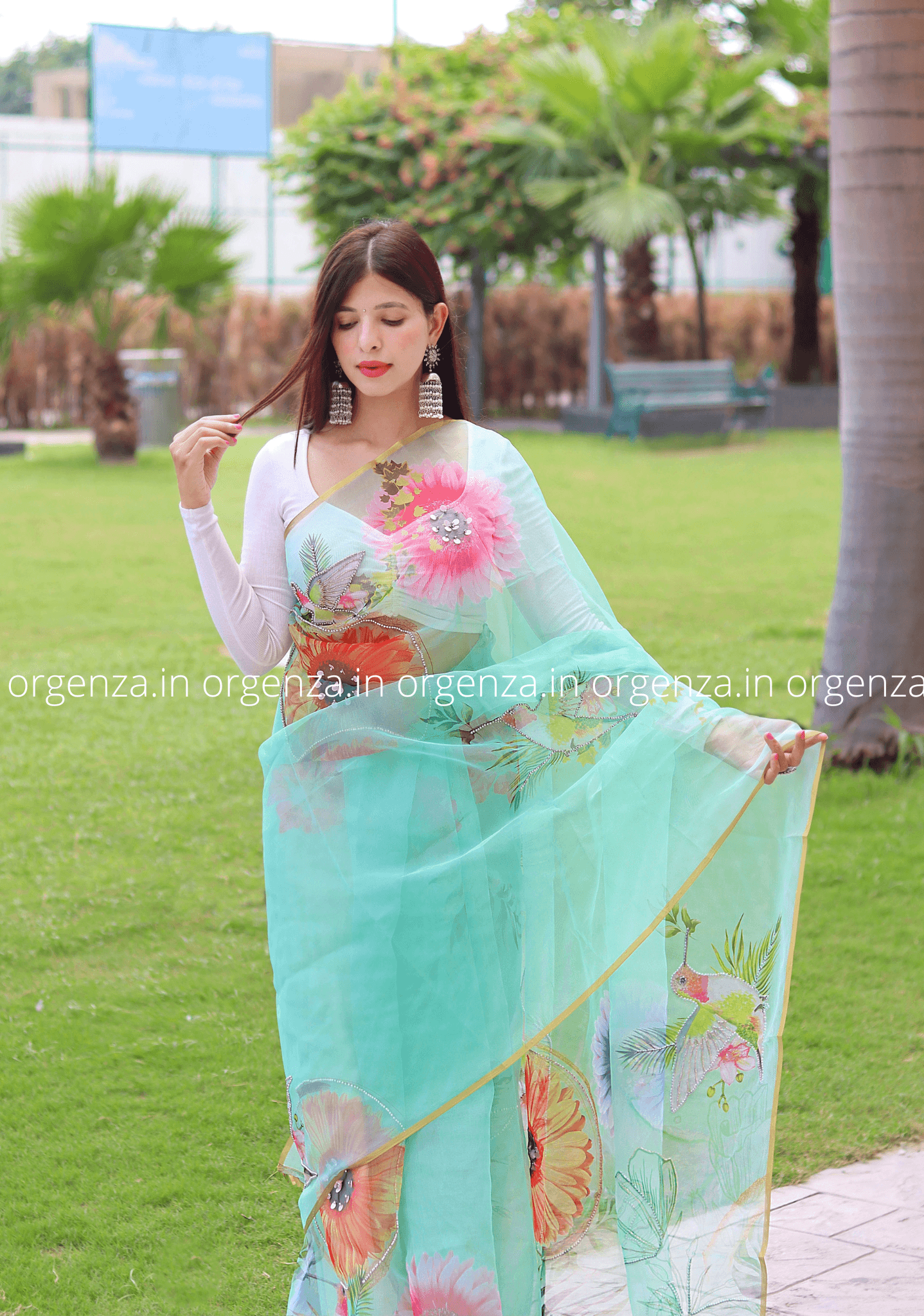 Multi Colour Organza Saree With Moti Work - Orgenza Store - digisoch