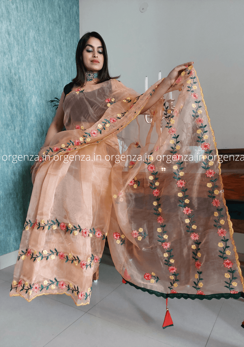 Brown Colour Organza Saree With Embroidery - Orgenza Store