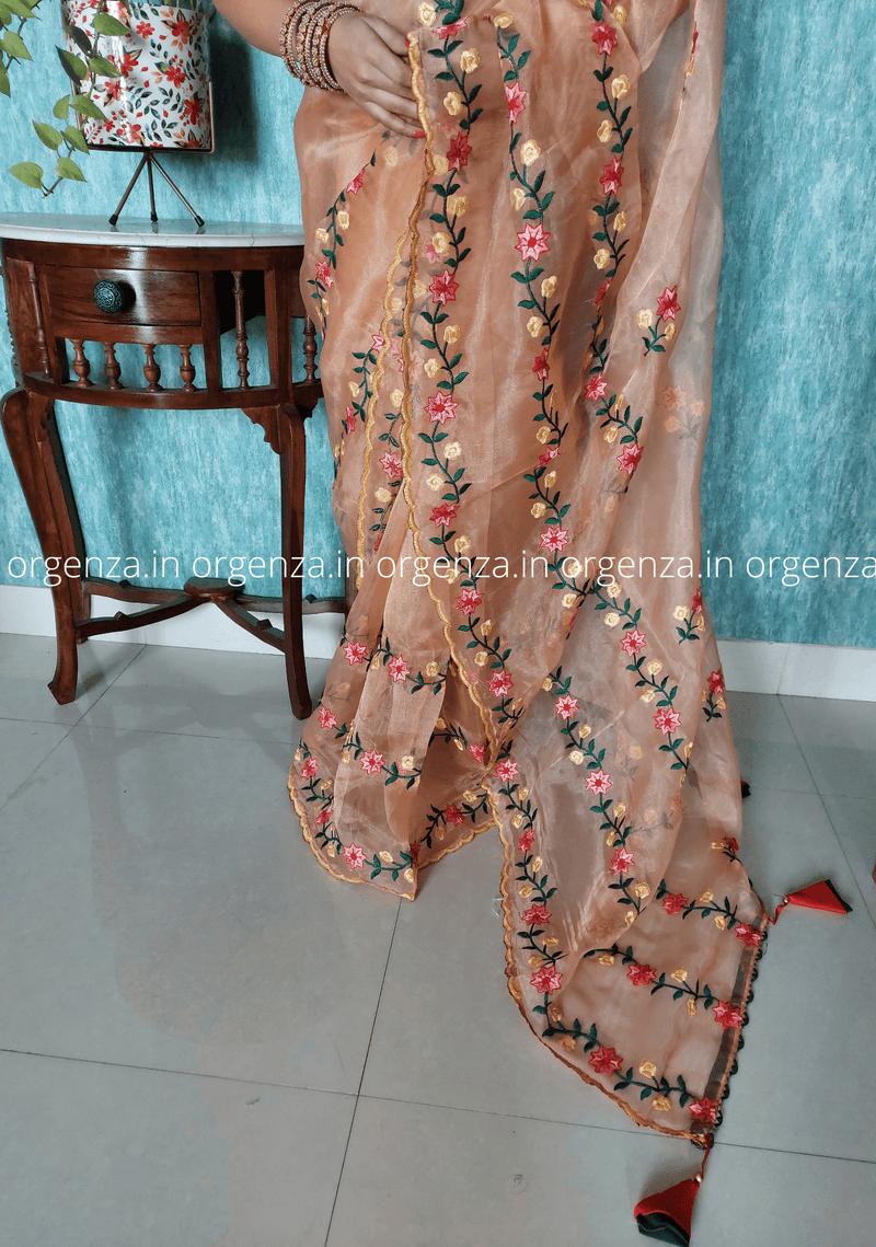 Brown Colour Organza Saree With Embroidery - Orgenza Store