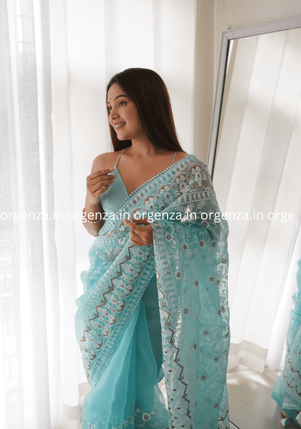 Sky Blue Organza Saree With Embroidery - Orgenza Store