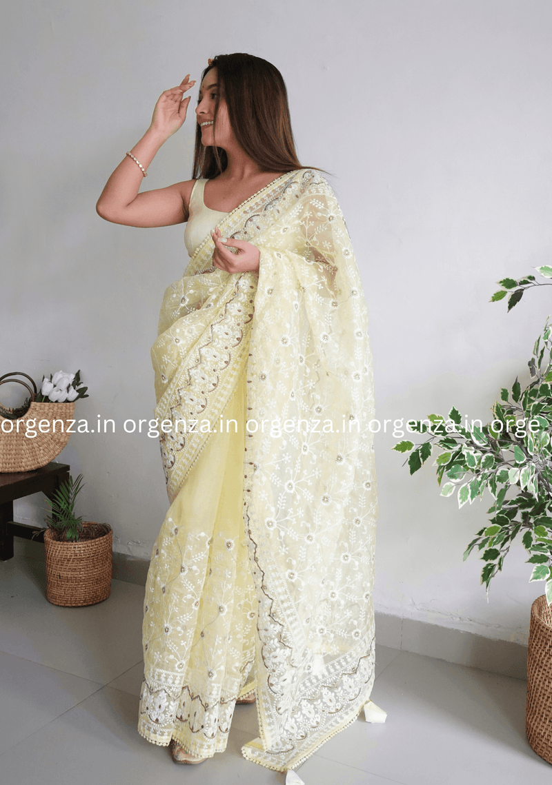 Light Yellow Organza Saree With Embridery Work - Orgenza Store