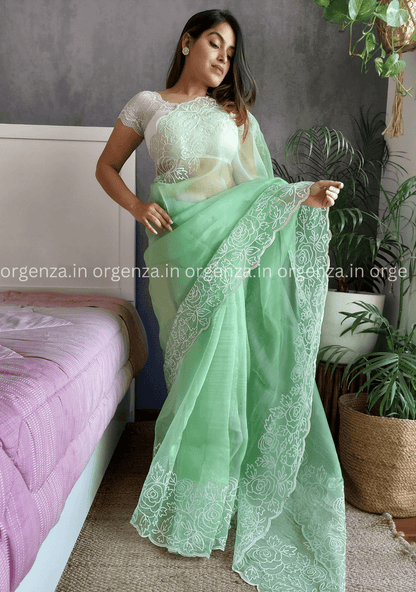 Green Colour Organza Saree With Blouse - Orgenza Store