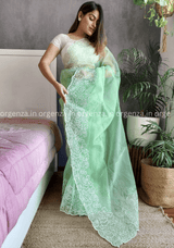 Green Colour Organza Saree With Blouse - Orgenza Store