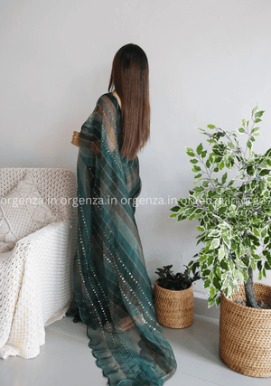 Pure Organza Silk Saree With Hand Work - Orgenza Store - digisoch