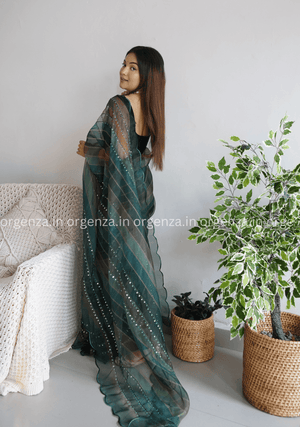 Pure Organza Silk Saree With Hand Work - Orgenza Store - digisoch