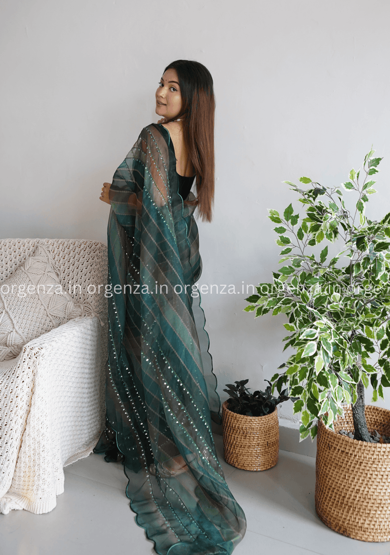Latest organza pattu best sale sarees