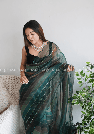 Pure Organza Silk Saree With Hand Work - Orgenza Store - digisoch
