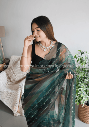 Pure Organza Silk Saree With Hand Work - Orgenza Store - digisoch