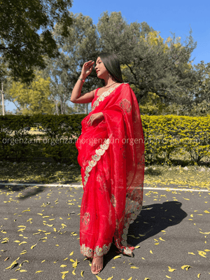 Red Organza With Gota Patti Border - Orgenza Store
